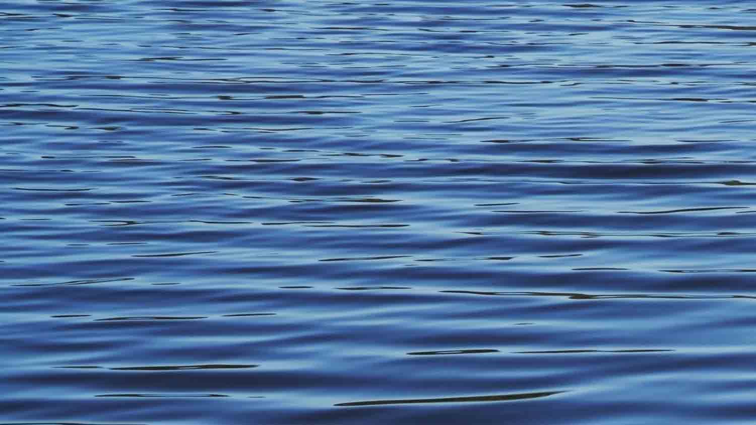 Water sources at the salt flat