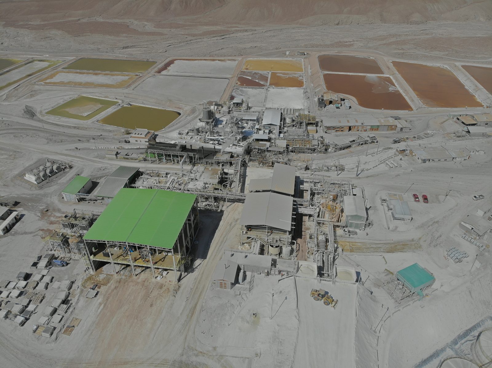 El Aguila plant