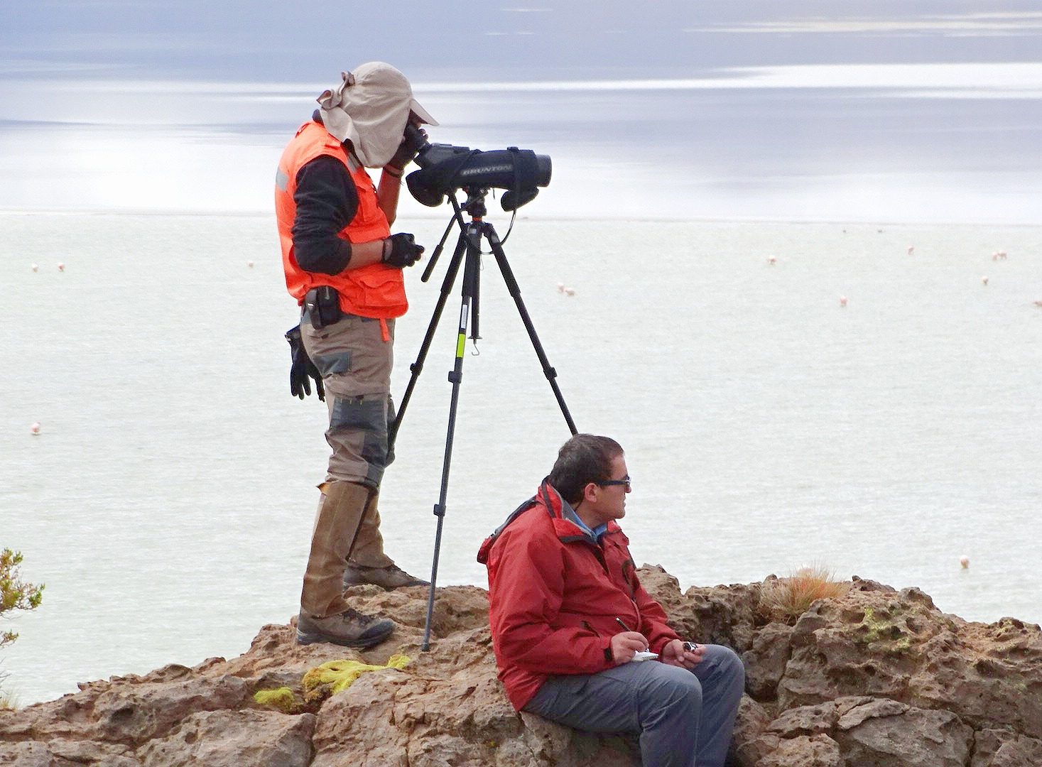 Ecological monitoring at the salt flat